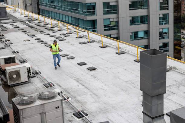 Roof Coating Services in Mio, MI