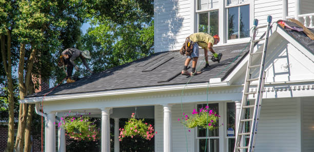 Best Roof Leak Repair  in O, MI